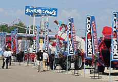 The 31st International Agricultural Machinery Show