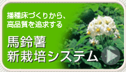 n鏒V͔|VXe