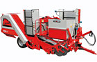 Offset potato harvester